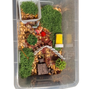 Fairy Garden Sensory Box: