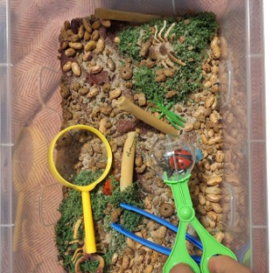 Bug Sensory Box